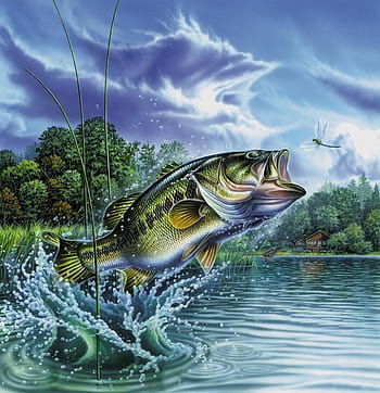 Fall Bass Fishing Technique