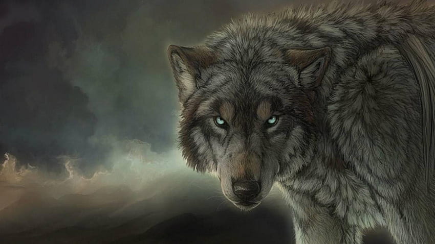 60+ Wolf Wallpapers: HD, 4K, 5K for PC and Mobile | Download free images  for iPhone, Android