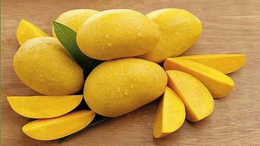 Árbol frutal de mango fondo de pantalla