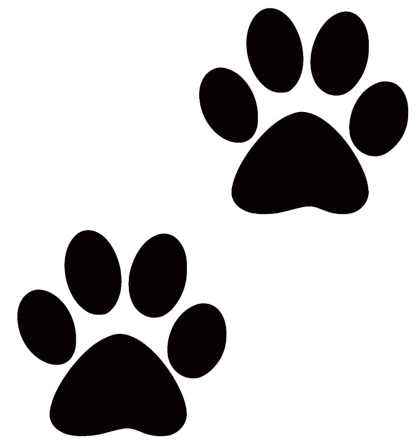 Dog Cat Paw Clip Art, dog paws HD phone wallpaper