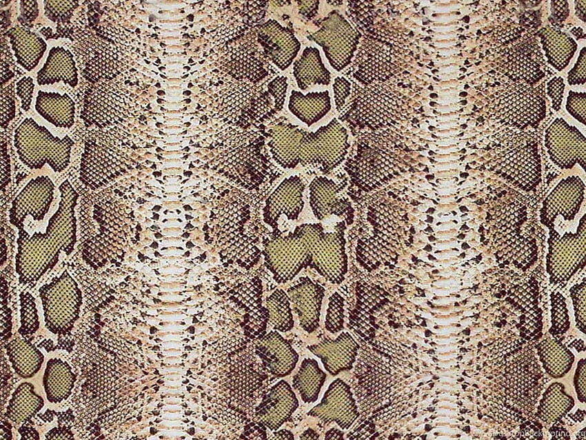 Snake Skin Snakeskin Crocodile And Alligator ... 背景、ワニ皮 高画質の壁紙