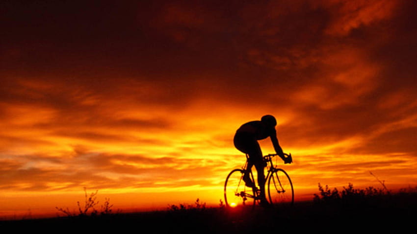 Road Bike, sepeda Wallpaper HD
