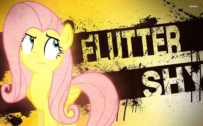 Fluttershy fofa de My Little Pony: A amizade é mágica, minha pequena fluttershy de pônei papel de parede HD