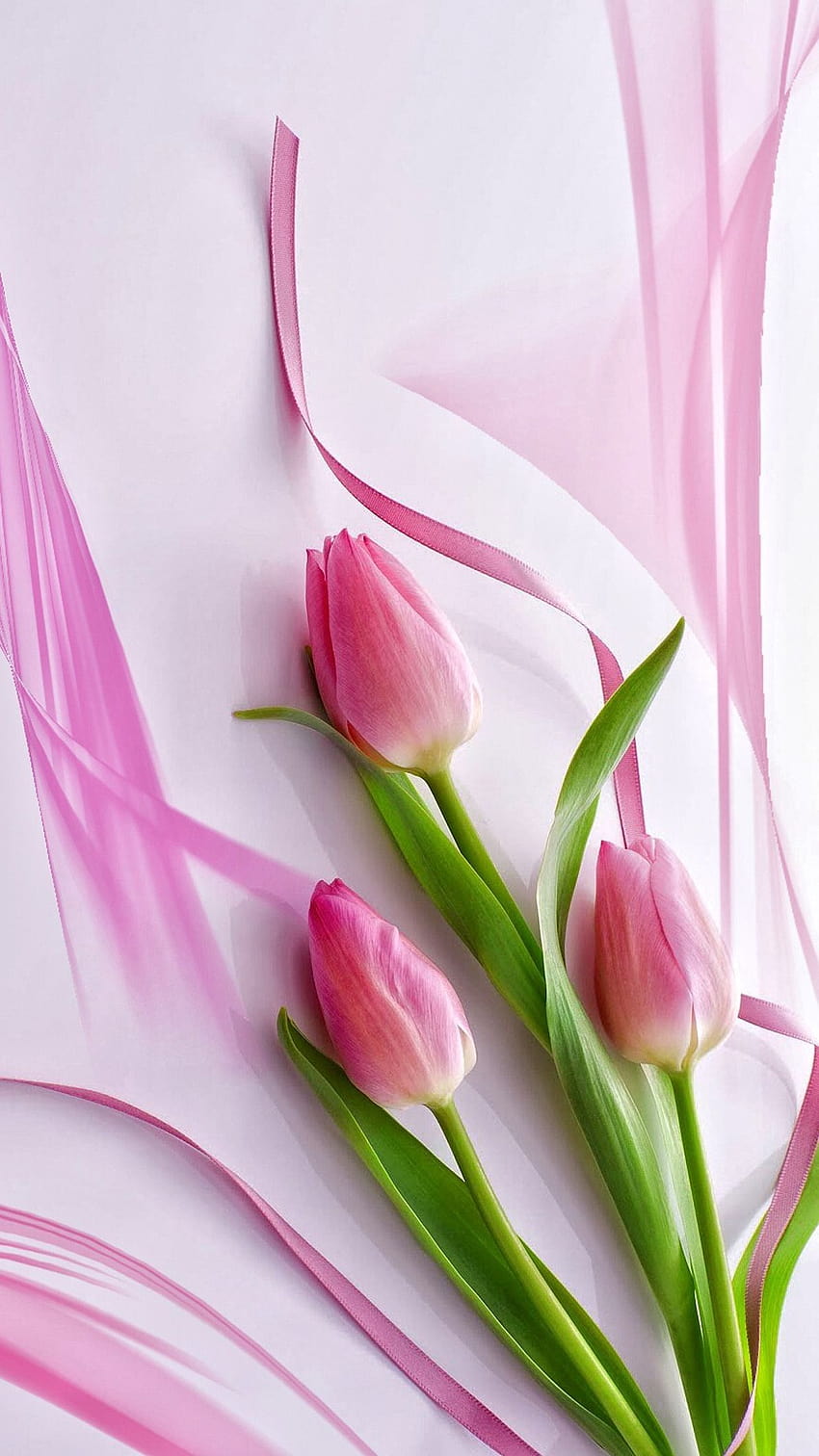 7 Różowy tulipan, tulipanowy iPhone Tapeta na telefon HD