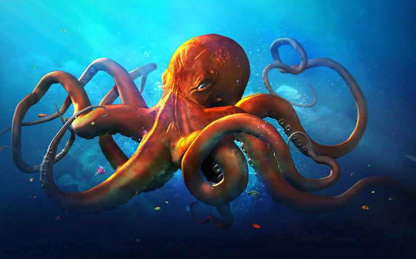 Octopus Top Octopus Backgrounds Access [1920x1200] for your , Mobile & Tablet, cute octopus HD wallpaper