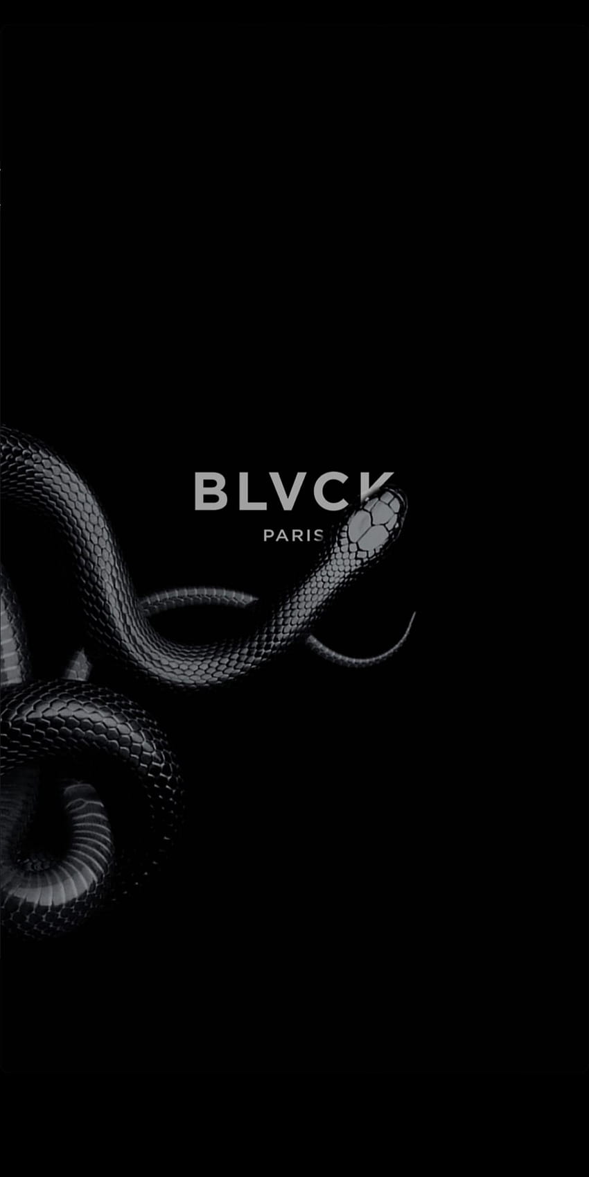 BLVCK Python, Blvck Paris HD-Handy-Hintergrundbild