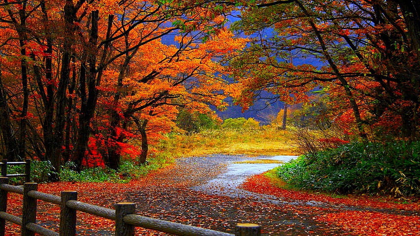 Autumn falls HD wallpaper | Pxfuel