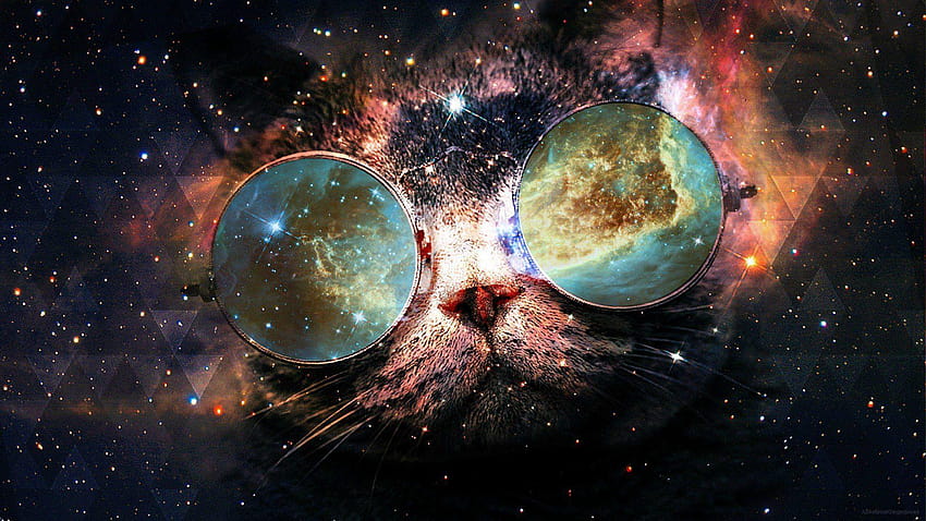 Galaxy Cat, galaxy backgrounds HD wallpaper