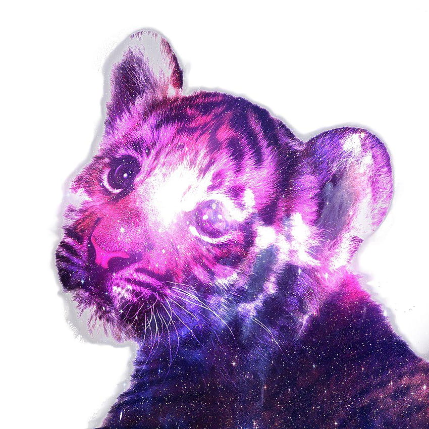 Hipster Tiger Galaxy, pups tigers HD phone wallpaper