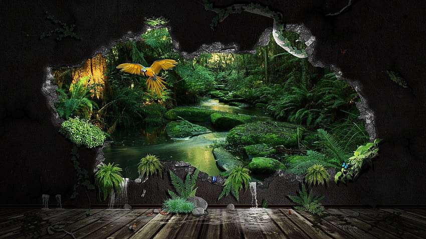 Dschungelpflanzen ... Wallpoper, Regenwaldpflanzen HD-Hintergrundbild