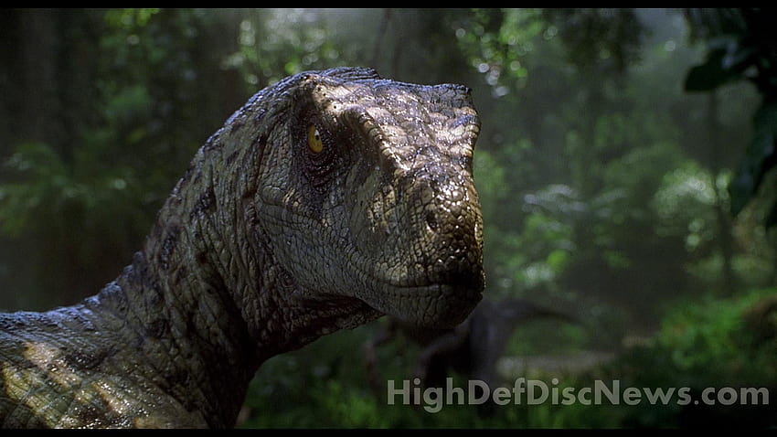 1920x1080, Jurassic Park Spinosaurus Best, Jurassic Park Raptors Tapeta HD