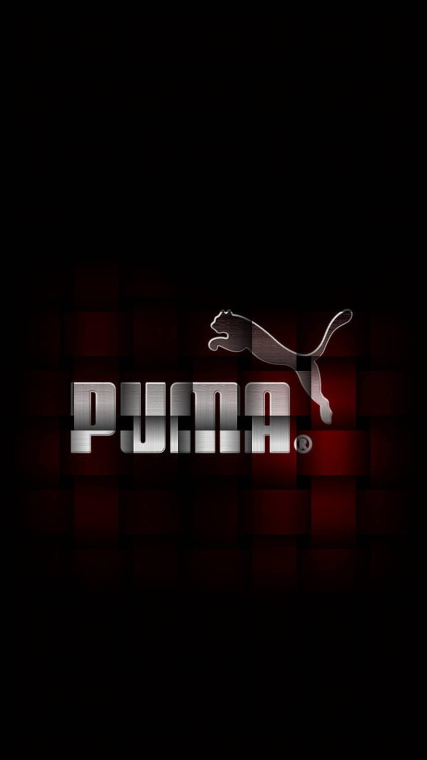 Puma For Your Mobile Phone Hd Wallpapers Pxfuel
