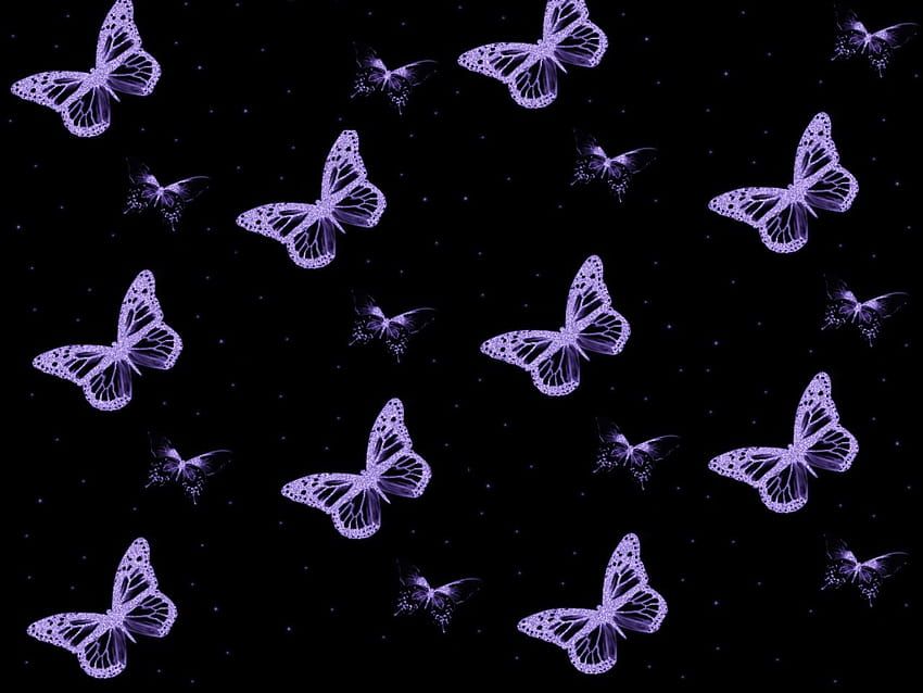 PURPLE BUTTERFLIES For com [1280x960] for your , Mobile & Tablet, 美しいバタフライ コンピューター 高画質の壁紙