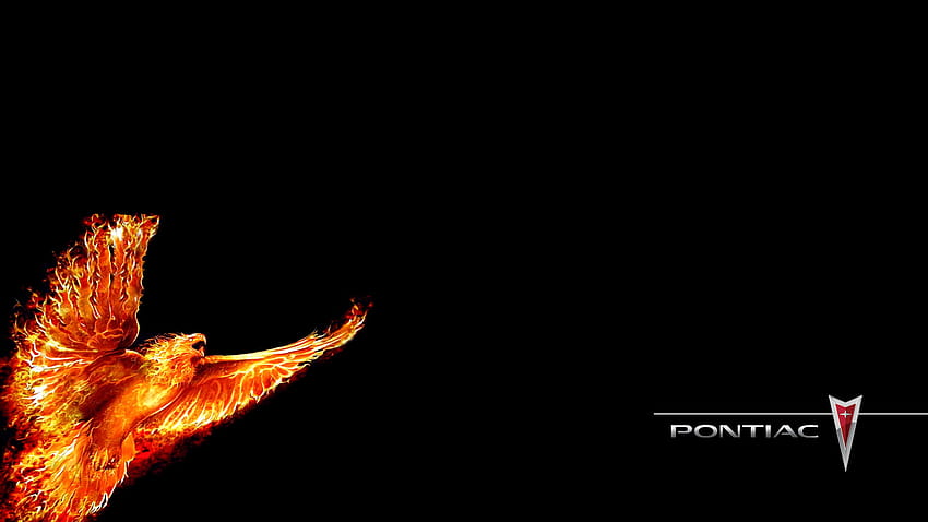 Firebird, fire bird HD wallpaper