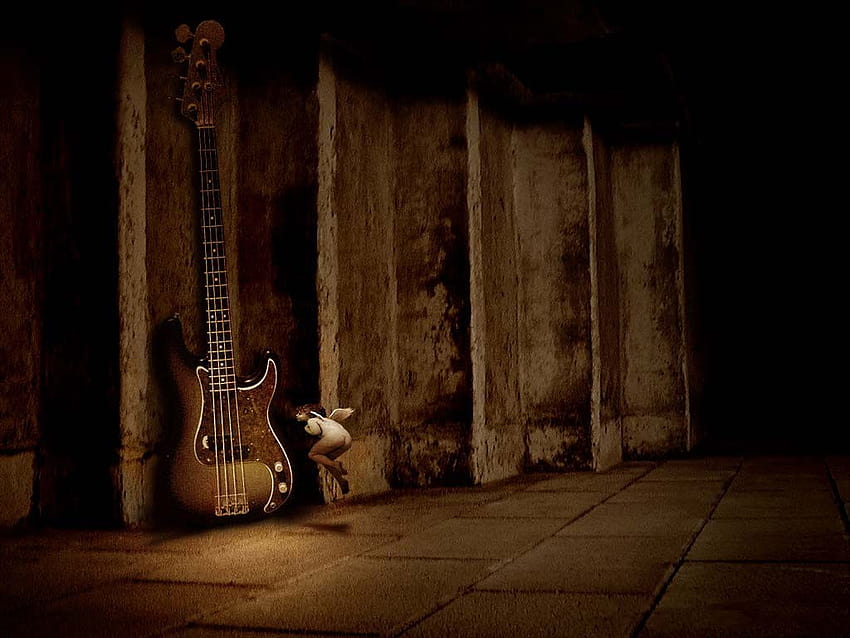 Fender Bass Guitar, bass player HD wallpaper