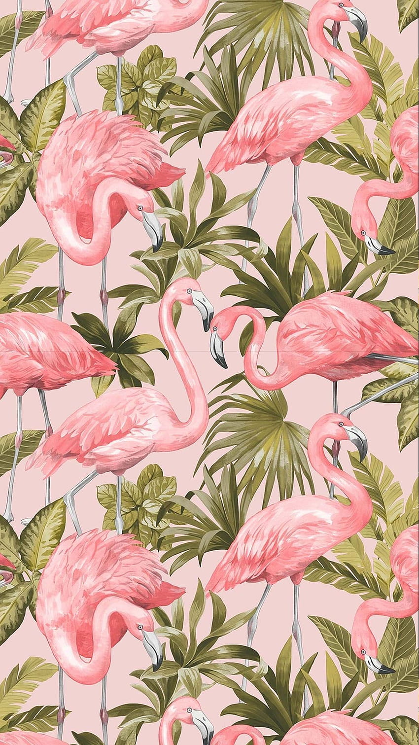 Cute Discover I Love Flamingo Blush Pink Papel de parede de celular HD