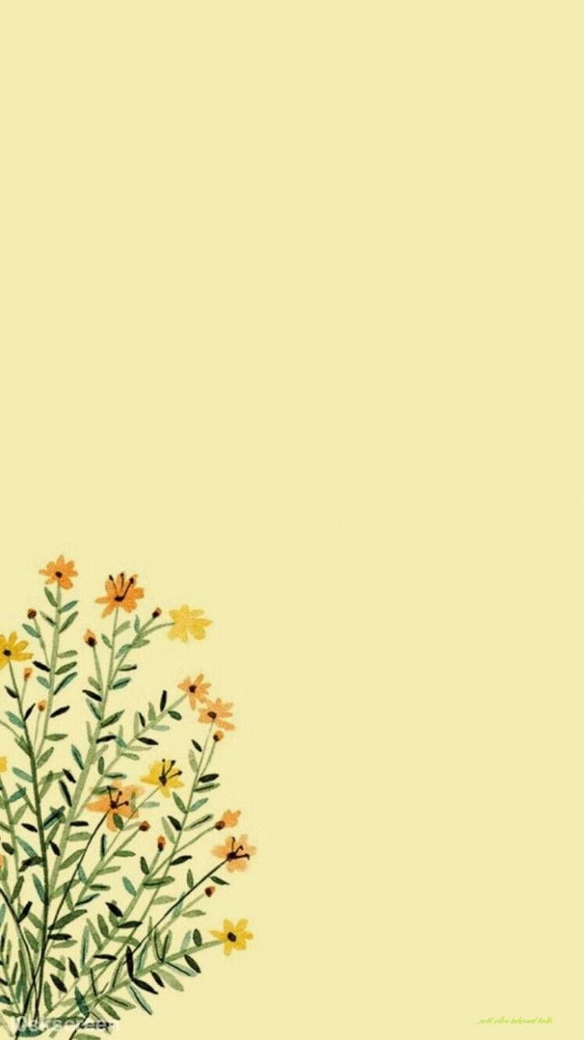 Amarillo Pastel Tumblr, cosas amarillas fondo de pantalla del teléfono |  Pxfuel