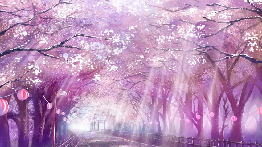 アニメの風景、風光明媚な、桜の花、チェリー、パス、ピンクの風景アニメ 高画質の壁紙