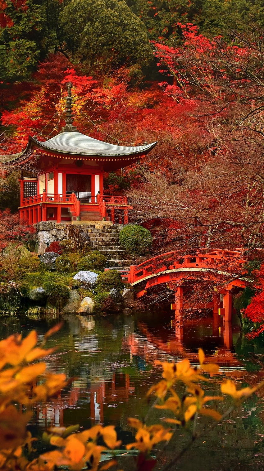 Miglior tempio Daigo ji in autunno, tempio autunnale Sfondo del telefono HD