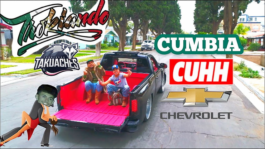 Trokiando Cuh Cumbia, Tacuache HD-Hintergrundbild