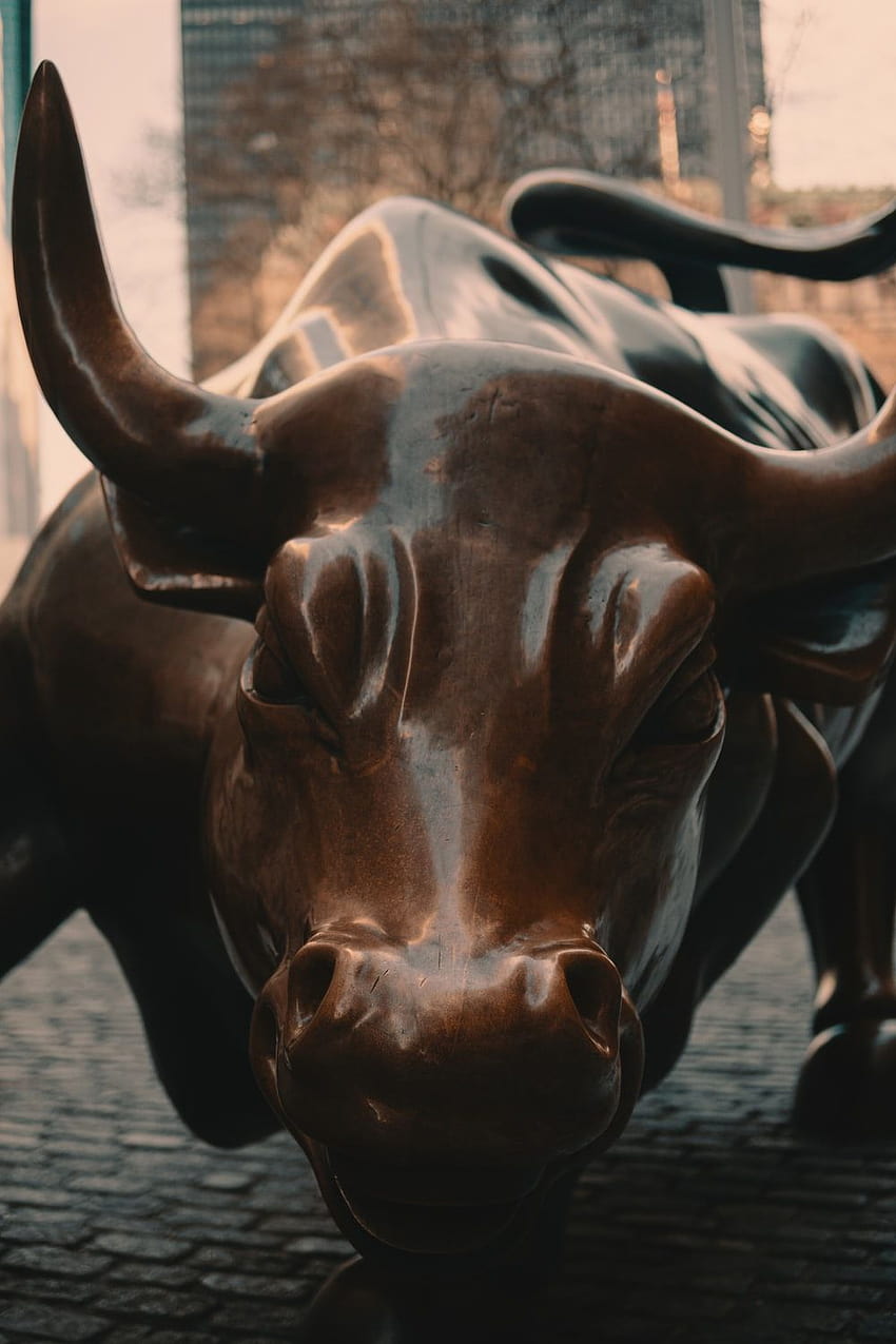 This Bull Market Indicator Hasn't Been Wrong in 67 Years, and It Has a  Clear Message for Where Stocks Head Next | The Motley Fool