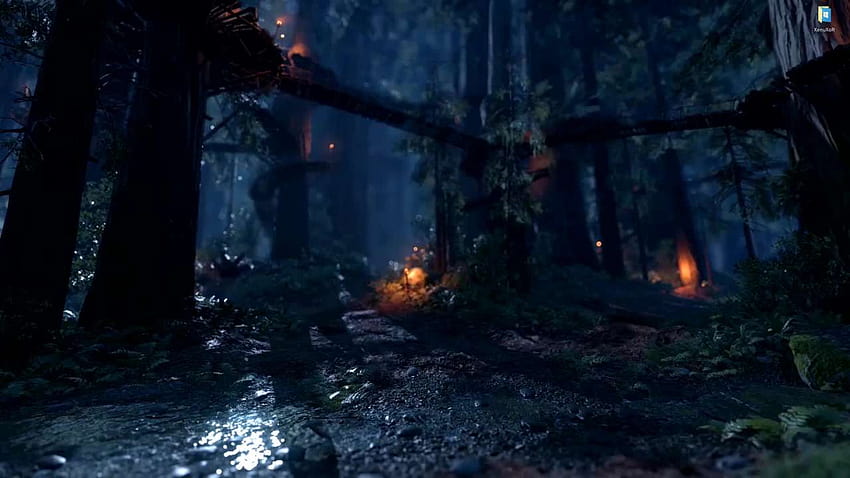 A Night in the Forests of Endor Star Wars Battlefront 2, 스타워즈 엔도르 HD 월페이퍼