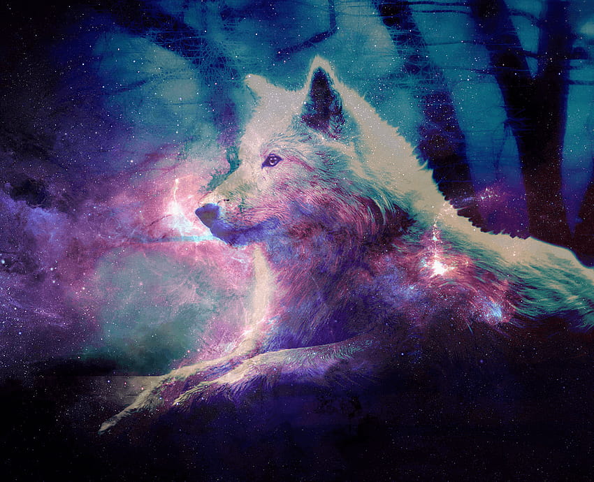 Cute Galaxy Wolf, cute wolves HD wallpaper | Pxfuel