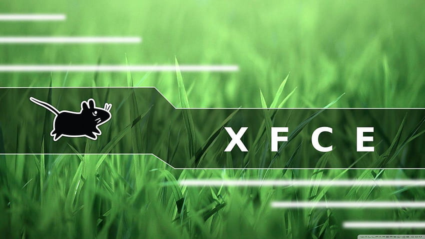 xfce grass smooth : High Definition HD wallpaper