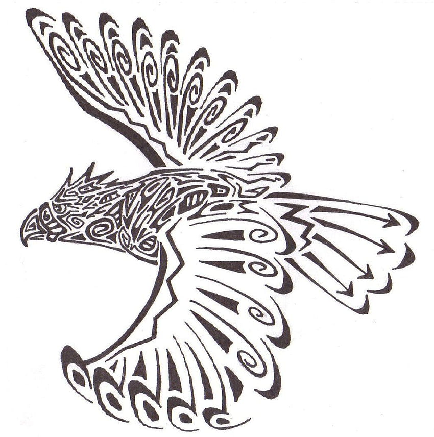 215+ Hawk Tattoos Ideas and Designs (2023) - TattoosBoyGirl | Wildlife  tattoo, Hawk tattoo, Eagle head tattoo