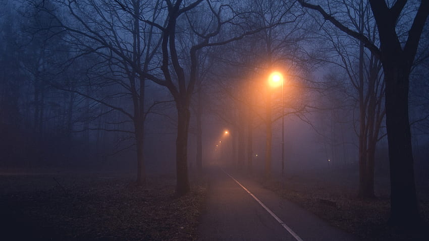 Camino oscuro y brumoso, camino oscuro con niebla fondo de pantalla