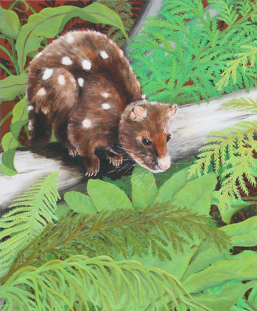 Spotted Quoll par l'artiste de Tasmanina Susan Parsons. Huile sur toile Fond d'écran de téléphone HD