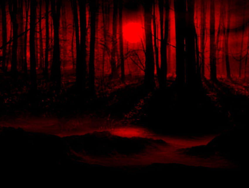 Bosque rojo oscuro, rojo oscuro fondo de pantalla