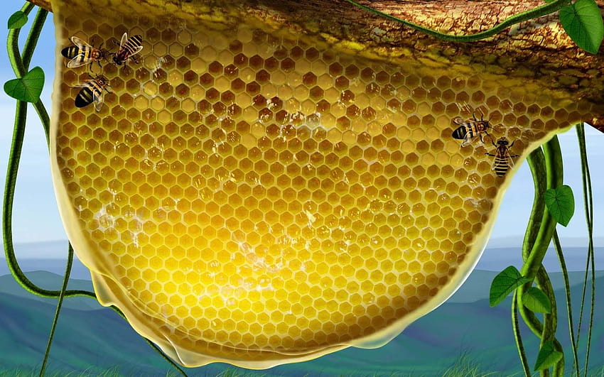 Beste kleine Honigbiene, Bienenstock HD-Hintergrundbild