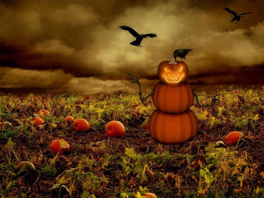 halloween pumpkin face HD wallpaper