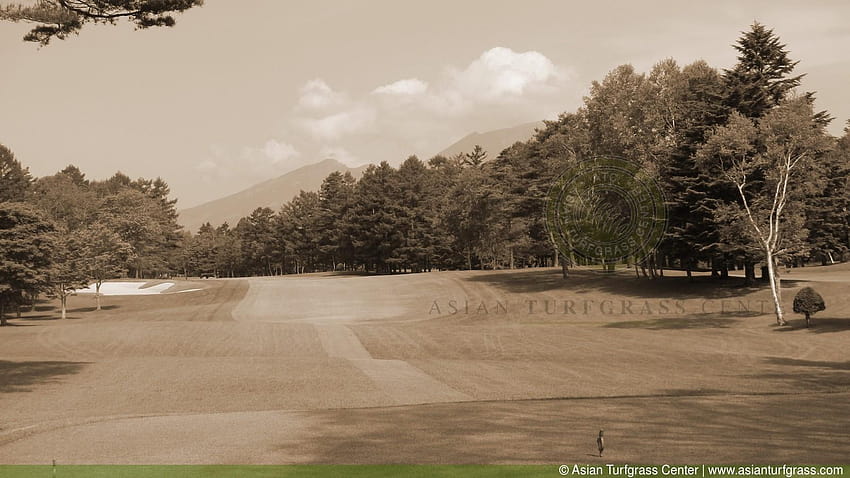 A golfers' paradise, golfers paradise HD wallpaper