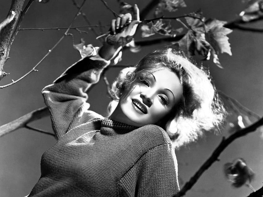 Marlene Dietrich Celebrities HD wallpaper