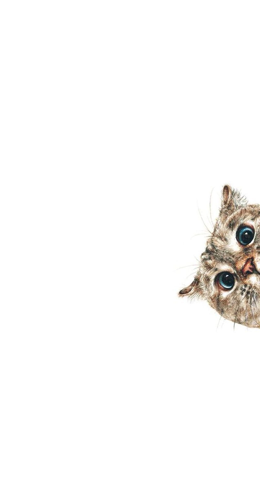 Peekaboo Kitten Backgrounds, minimalistic cat phone HD phone wallpaper