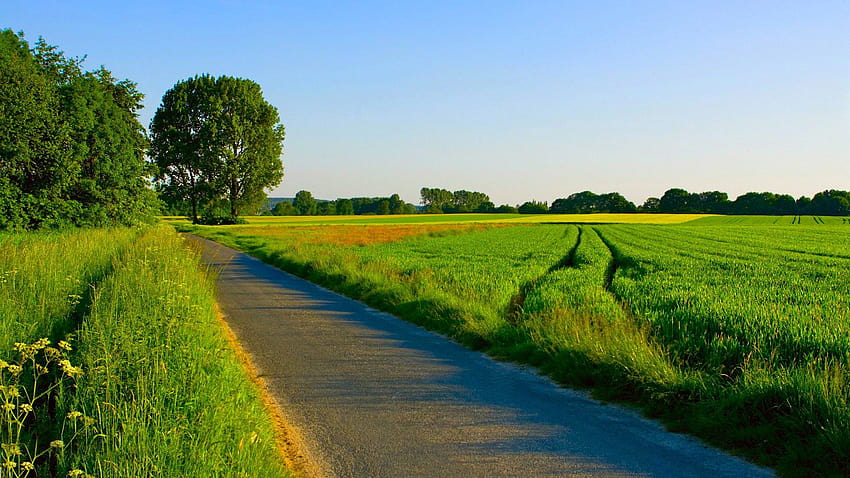 Best 5 Country Lane Backgrounds on Hip, beautiful country HD wallpaper |  Pxfuel