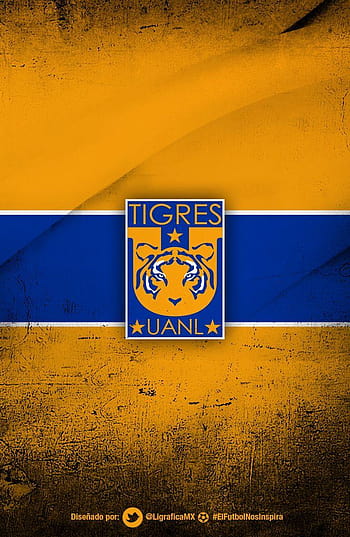 Page 2 | tigres HD wallpapers | Pxfuel