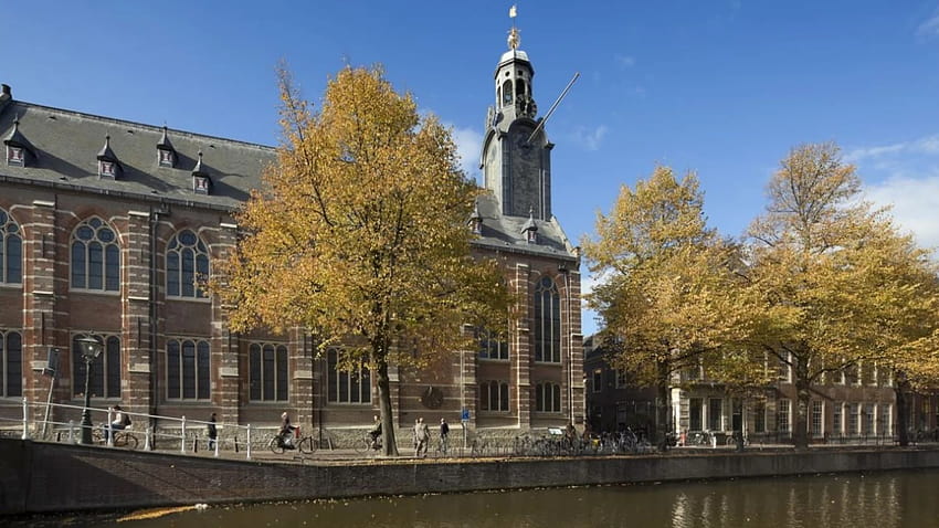 Rekrutacja na studia licencjackie na Międzynarodowym Uniwersytecie w Leiden Tapeta HD