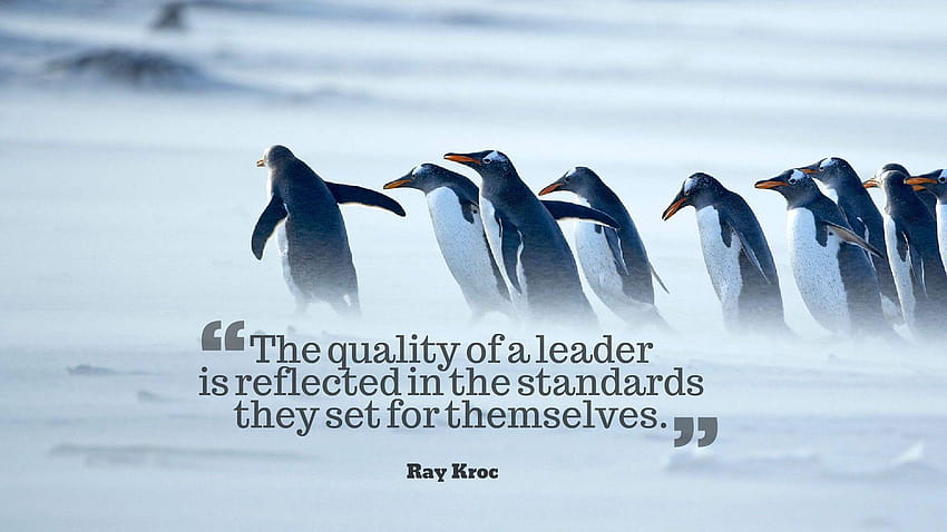 Leadership Quotes Backgrounds 13245 HD wallpaper