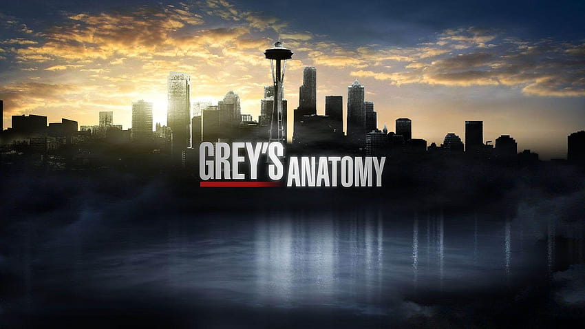 Logotipo de Grey's Anatomy, anatomía de Greys fondo de pantalla | Pxfuel