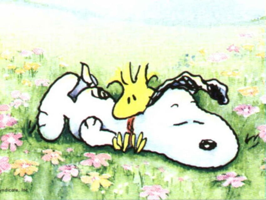 Snoopy Backgrounds Fb Cover, is it spring yet snoopy HD wallpaper