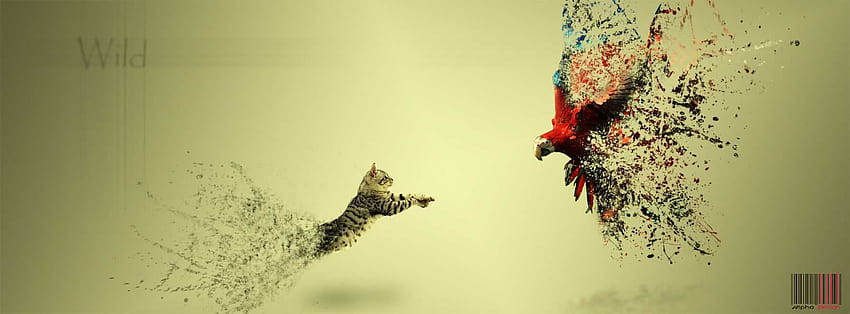 Amazing Funny Facebook Covers Cover Ups Backgrounds Fb Of, for fb HD wallpaper