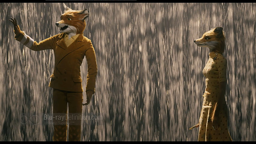 Fantastic Mr. Fox – 2009 Wes Anderson – The Cinema Archives, le renard presque familial Fond d'écran HD