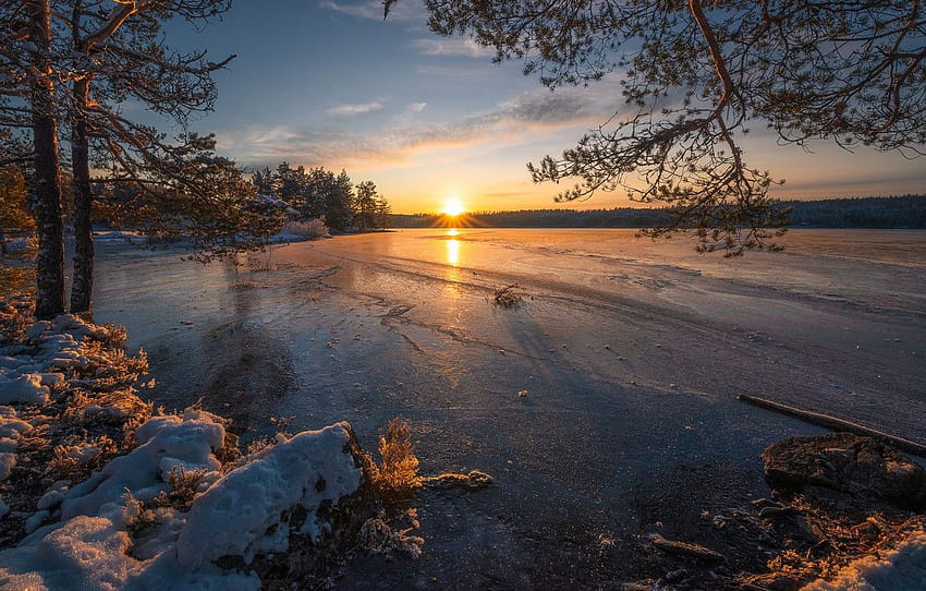 winter, trees, sunset, lake, ice, Norway, pine, Norway, sunset lake ice trees sky HD wallpaper