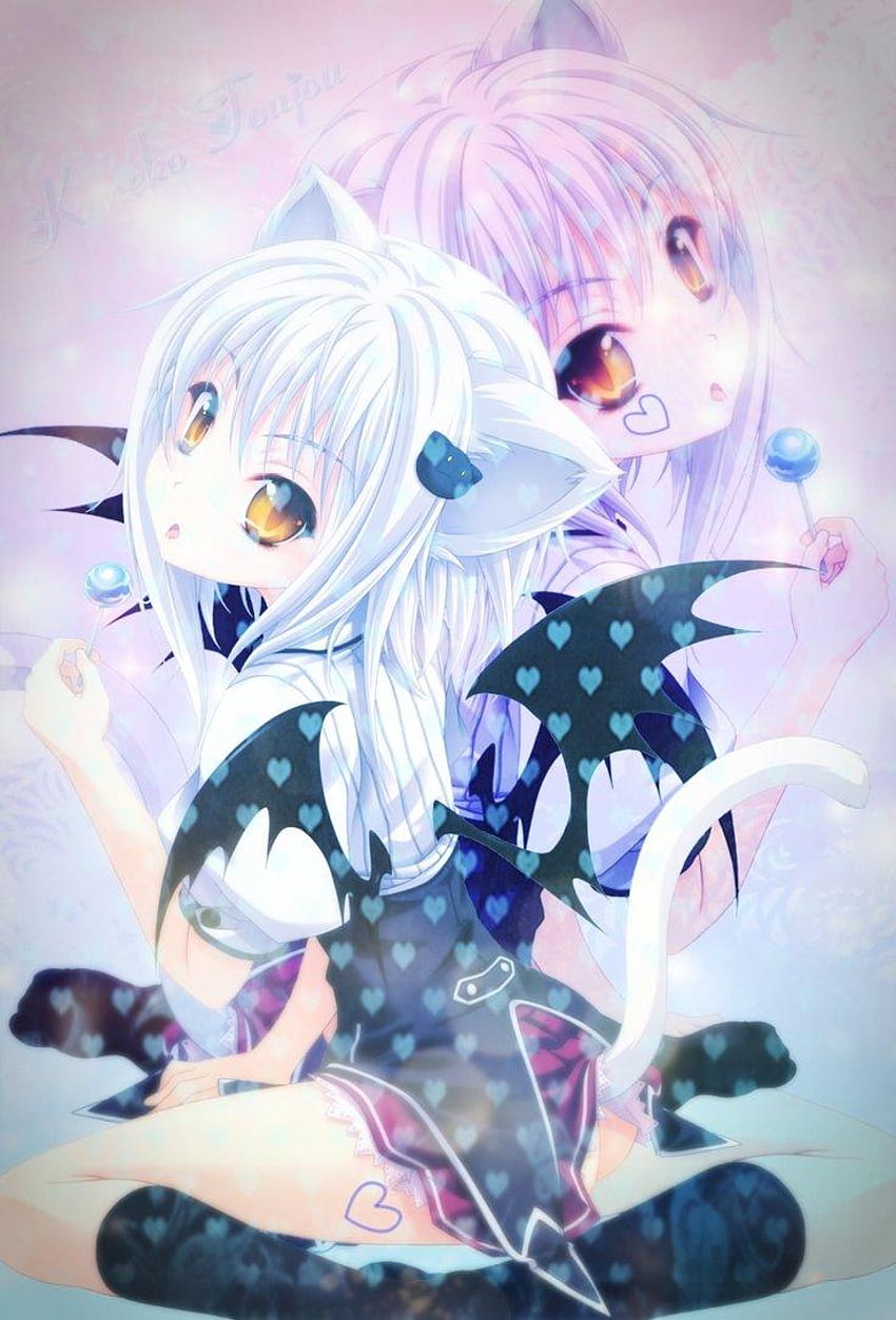 Koneko Cute Koneko Anime Girl Hd Phone Wallpaper Pxfuel