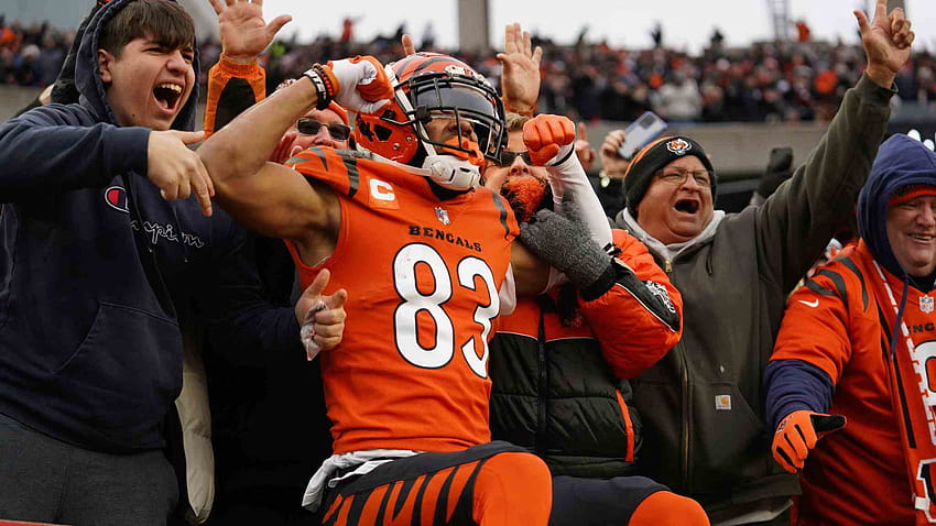 The Bengals are the new AFC North Champions after defeating Kansas City,  cincinnati bengals 2022 HD wallpaper