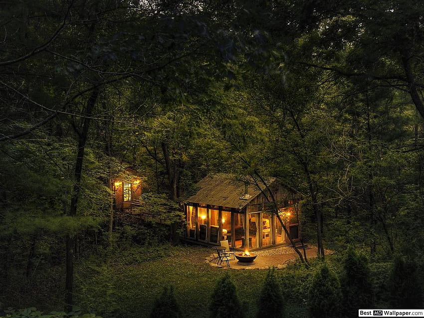 Cabana de fantasia em uma floresta à noite 4K, Banco de Video