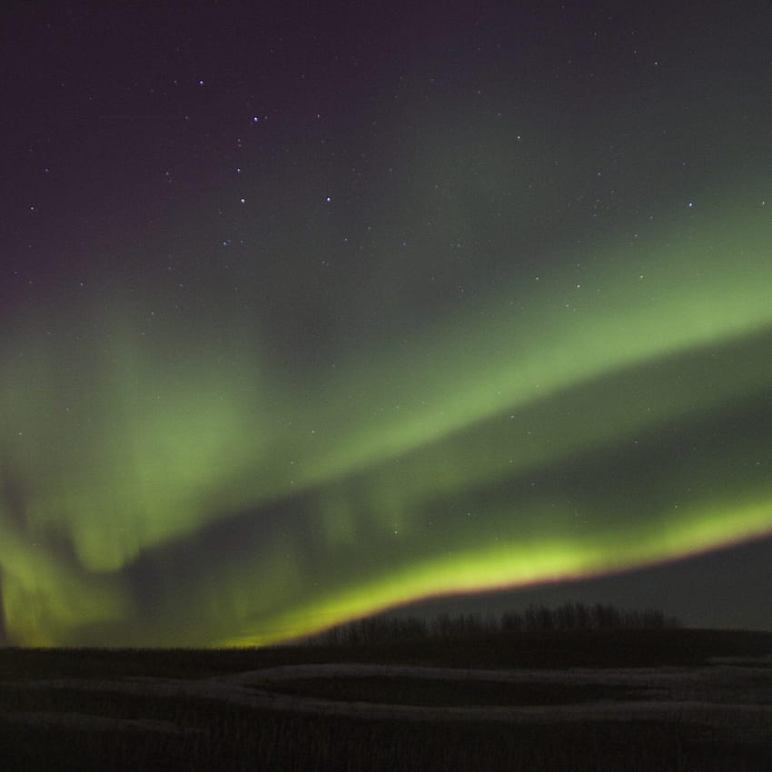 Raquette et Stargaze, aurores boréales du lac Astotin Fond d'écran de téléphone HD